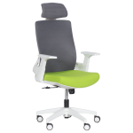 ДИРЕКТОРСКИ СТОЛ 7546 ЗЕЛЕН