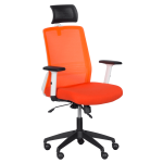 ДИРЕКТОРСКИ СТОЛ 7523 ОРАНЖЕВ