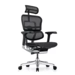 ЕРГОНОМИЧЕН СТОЛ  ERGOHUMAN ELITE 2  BLACK